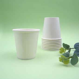 PLA 6.5oz single wall paper cup